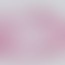 Angiolipom. Umschriebener, mit einer zarten Bidegewebskapsel versehener Tumor aus reifen Adipozyt...