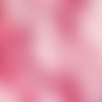 Angiolipom. Neben reifzelligen Adipozyten, kapilläre Gefäßproliferate, teils mit soliden, teils m...