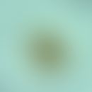 Askaridiasis. Ascaris lumbricoides. Ca. 50-75 x 40-50 Micrometer großes, fertiles Ei. Es besitzt ...