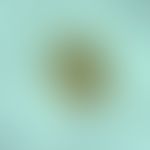 Askaridiasis. Ascaris lumbricoides egg. further development of the larva in the egg. L2 larvae ha...