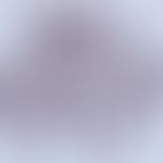 Aspergillose:&nbsp;Aspergillus phoenicii (saprophytische Wachstumsform); GMS-Färbung (Prof. Dr. A...