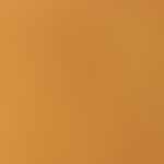 Regular melanin-pigmented reteleist structure in dark-skinned patients. 