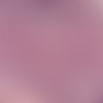 basal cell carcinoma, nodular. detail enlargement from a solid "undifferentiated basal cell carci...