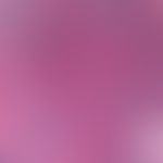 Basal cell carcinoma, solid. intensely basophilic, solid epithelial strands consisting of largely...