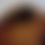 bedbug. bedbug Cimex lectularius ventral view. in the rear part of the bug are the genital openin...