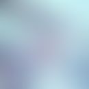 Schistosoma haematobium in the bladder, cross section of an adult couple (female lies curled up i...
