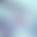 Bilharziose. Schistosoma haematobium in der Harnblase. Querschnitt eines adulten Pärchens (Weibch...