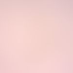 Bilharziose. Eier von Schistosoma intercalatum. Gut erkennbar sind der schmale Körper und der End...