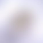Bilharziose. Ei von Schistosoma japonicum. Das Ei ist im Vergleich zu anderen Schistosoma-Arten o...