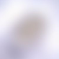 Bilharziose. Ei von Schistosoma japonicum. Das Ei ist im Vergleich zu anderen Schistosoma-Arten o...