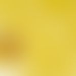 Coccidioidomycose. Detailvergrößerung einer Sphaerule mit zahlreichen Sporen bei Coccidioidomykos...