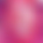 Demodex-Follikulitis (Detailausschnitt: Dilatierter Follikel mit zahlreichen Demodexmilben, die i...