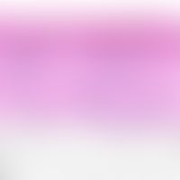 Dermatitis. vasculitis, small vessel (example: purpura Schoenlein-Henoch; Wegner granulomatosis; ...