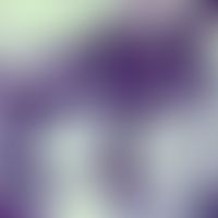 Filariose. Mikrofilarie von Brugia malayi. Die Mikrofilarie besitzt eine Scheide, das Hinterende ...