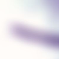 Filariose. Mikrofilarie von Wuchereria bancrofti. Breiter, aus 3-Kernreihen bestehender Körper so...