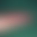 Fistel, arteriovenöse. Dermatosklerose und netzartige Weitstellung der Hautgefäße als Folge einer...