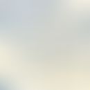 Gonorrhoe. Abstrich aus Urethra, zahlreiche neutrophile Granulozyten mit zahlreichen intrazellulä...