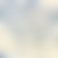 Gonorrhoe. Abstrich aus Urethra, zahlreiche neutrophile Granulozyten mit zahlreichen intrazellulä...
