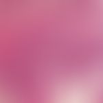 Hämangiom des Säuglings. Zellreicher, lobulärer Gefäßtumor mit unterschiedlich ausgereiften Tumor...