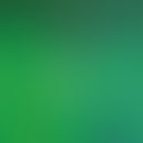Linear deposition of IgA at the dermo-epidermal junction zone. 