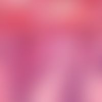 Keratosis actinica. Wichtiges differentialdiagnostisches Kriterium der aktinischen Keratose (Abgr...
