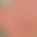 Keratosis palmoplantaris varians. Flächenhafte Keratosen an druckexponierten Stellen im Bereich d...