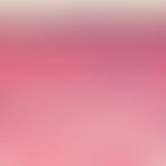 Dermatomyositis. Interface-Dermatitis, Orthokeratose, deutliche Atrophie des Epithels. Retikuläre...