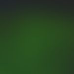 Dermatose, IgA-lineare. Lineare Ablagerungen von IgA an der dermo-epidermalen Junktionszone. Am l...