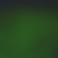 Dermatose, IgA-lineare. Lineare Ablagerungen von IgA an der dermo-epidermalen Junktionszone. Am l...