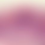Dyskeratosis follicularis. Hyperplastische Epidermis mit dyskeratotischen Zellen sowie akantholyt...