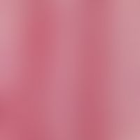 Epidermis. Querschnitt von Leistenhaut: Zapfenartige Verzahnung der dermalen Papillen und der Epi...