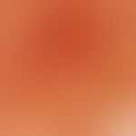 Erythema dyschromicum perstans. Auflichtmikroskopie (Zentrum einer Läsion am Rücken eines 12-jähr...
