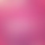 Erythema induratum. Spätstadium der Entzündung; lobuläres Bindegewebe stellenweise komplett durch...