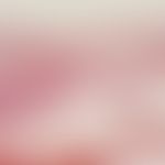 Erythema nodosum. Initiales Stadium mit septaler Pannikulitis. Ödematöse Verbreiterung der Fettge...
