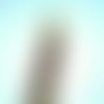 Mosquitoes. Anopheles larva. These mosquitoes have no breathing tube, they lie parallel to the wa...