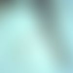 Mosquitoes. anopheles (mosquito ). the segmented feelers are in the same length as the mosquito's...
