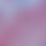 Naevus Spitz: Detail section: Bizarre configuration of melanocytes, which show partly spindle and...