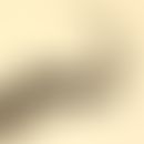 Nematode (Fadenwurm).
