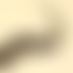 Nematode (Fadenwurm).

