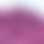 Paget, M., extramammärer. Hyperplastisches Oberflächen- und Tiefenepithel mit regellos zerstreute...