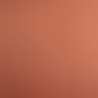 Pityriasis lichenoides chronica
