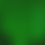 Pemphigus vulgaris. Direkte Immunfluoreszenztechnik (DIF) mit Anti-IgG-Antikörpern. Deutliche Flu...