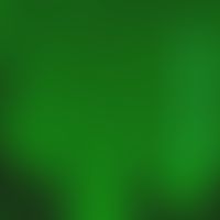 Pemphigus vulgaris. Direkte Immunfluoreszenztechnik (DIF) mit Anti-IgG-Antikörpern. Deutliche Flu...