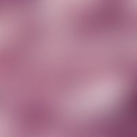 Leishmania brasiliensis. Detailvergrößerung: mit Erregernachweis.