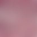 leishmaniasis, visceral. inflammatory infiltrate from histiocytes and plasma cells. numerous intr...
