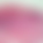 Lichen planus bullosus. Ausgeprägte "Interface-Dermatitis" mit Atrophie des Epithels bei Hypergra...