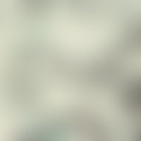 Lobomycosis: Loboa loboi in the subcutis; thick-walled roundish to lemon-shaped cells of 8-19 µm ...