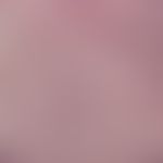 Sporotrichose. Sporotrix schenkii. Diffuse, gemischtzellige Entzündungsinfiltrate in der Dermis. ...