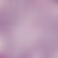 Sporotrichose. Detailvergrößerung: Sporotrix schenkii. Diffuse gemischtzellige Entzündungsinfiltr...