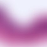 Syphilis: Primäraffekt. Ulkus mit seitlicher Epithelbegrenzung. Basal dichtes, bandförmiges, entz...